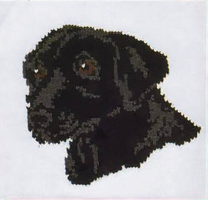 Black Lab Jacket Pattern