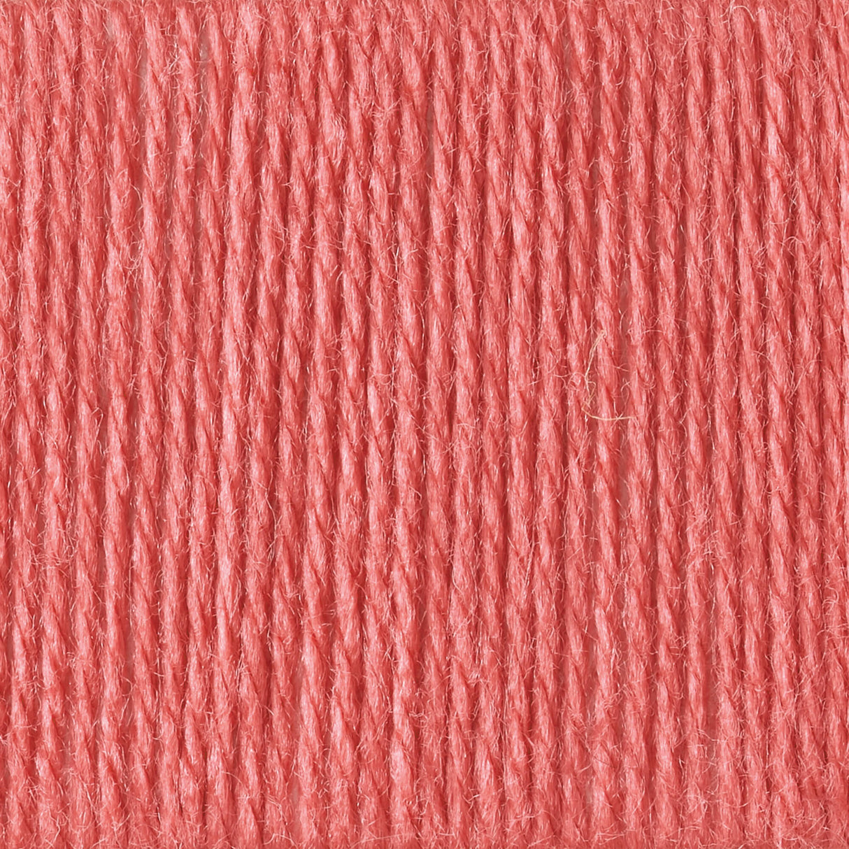 Softly Shelled Blanket