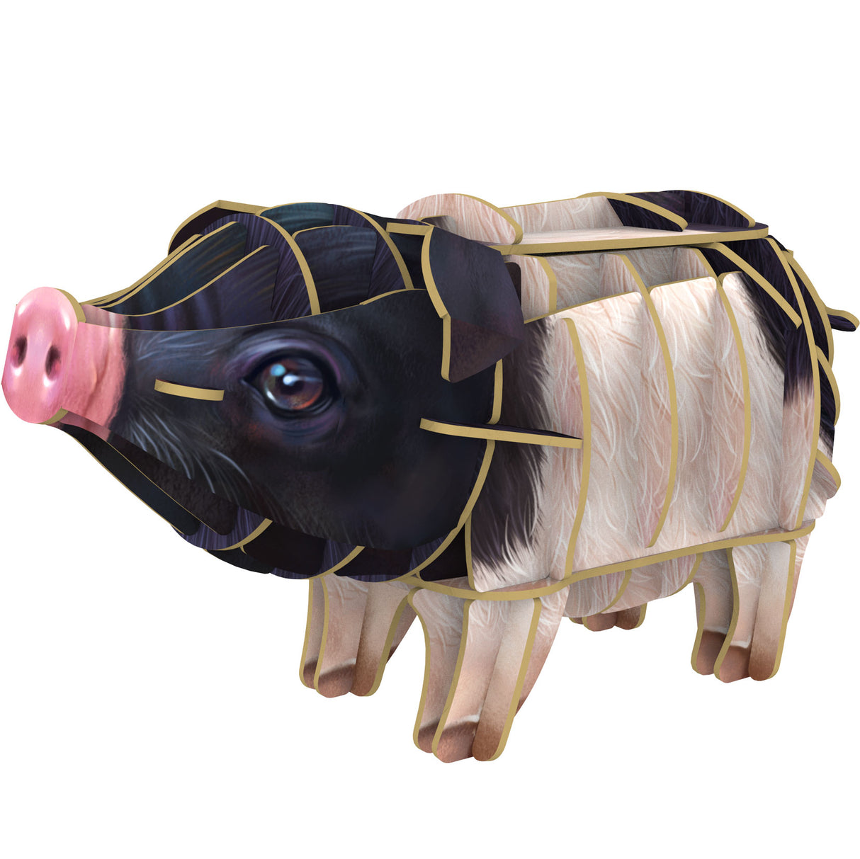 Voices of Nature- Pig