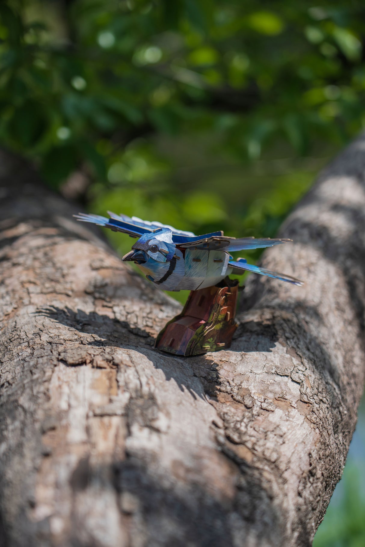 Blue Jay 3D Bird Puzzle