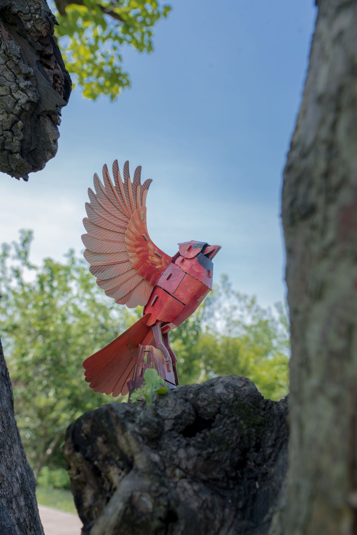 North American Cardinal 3D Bird Puzzle