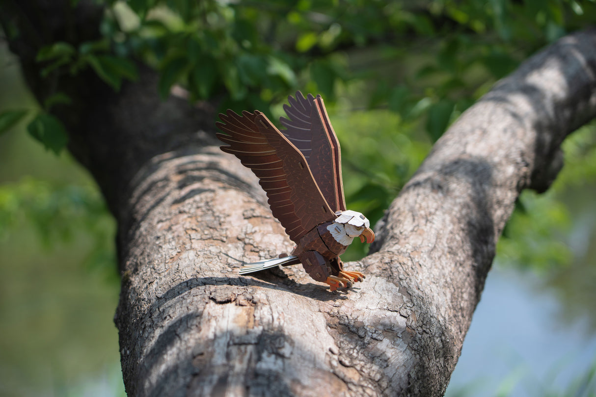 Bald Eagle 3D Bird Puzzle