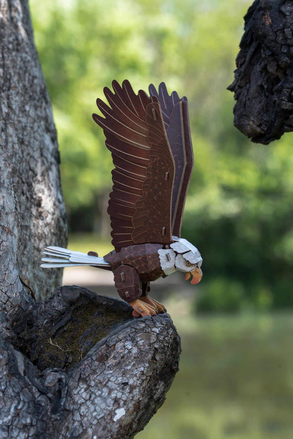Bald Eagle 3D Bird Puzzle