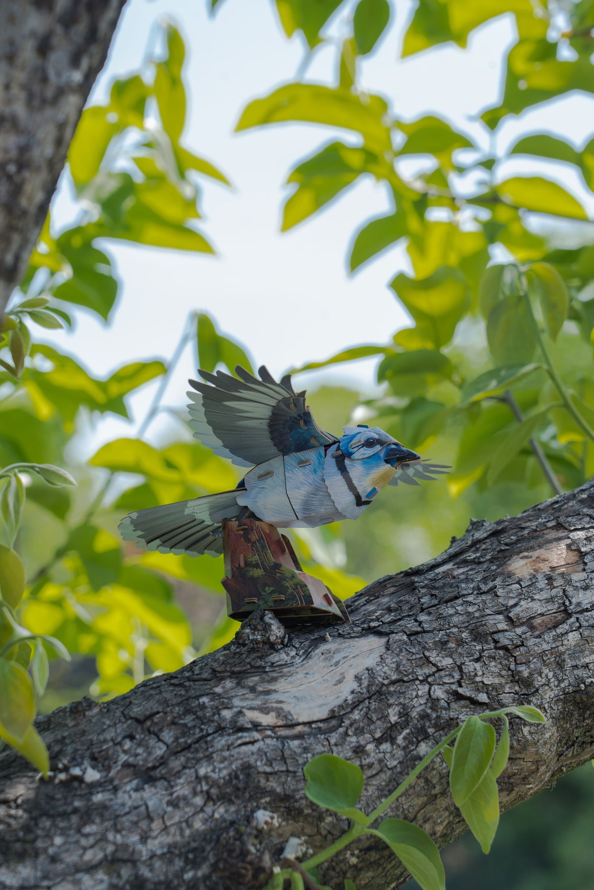 Blue Jay 3D Bird Puzzle