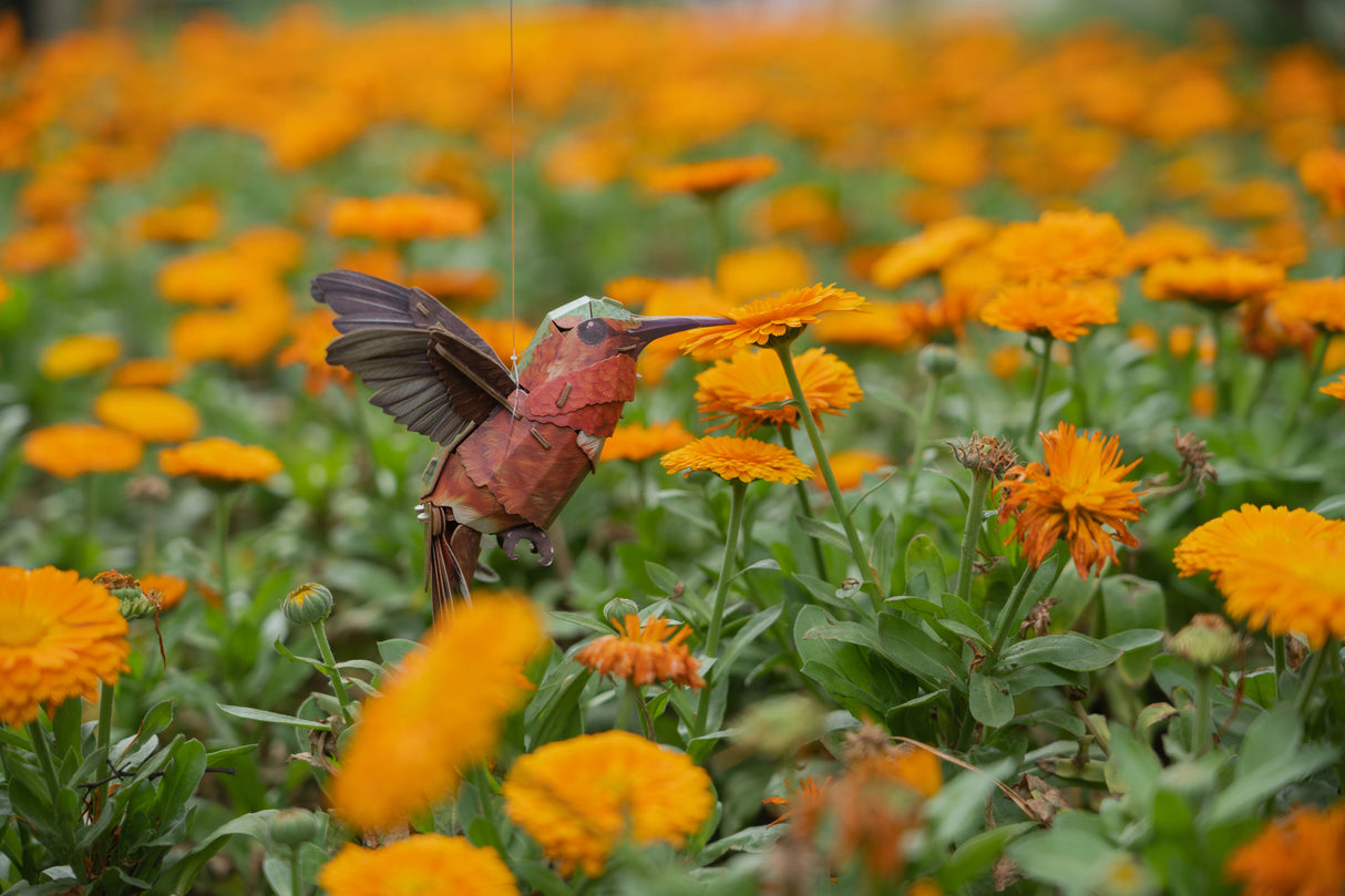 Hummingbird 3D Bird Puzzle