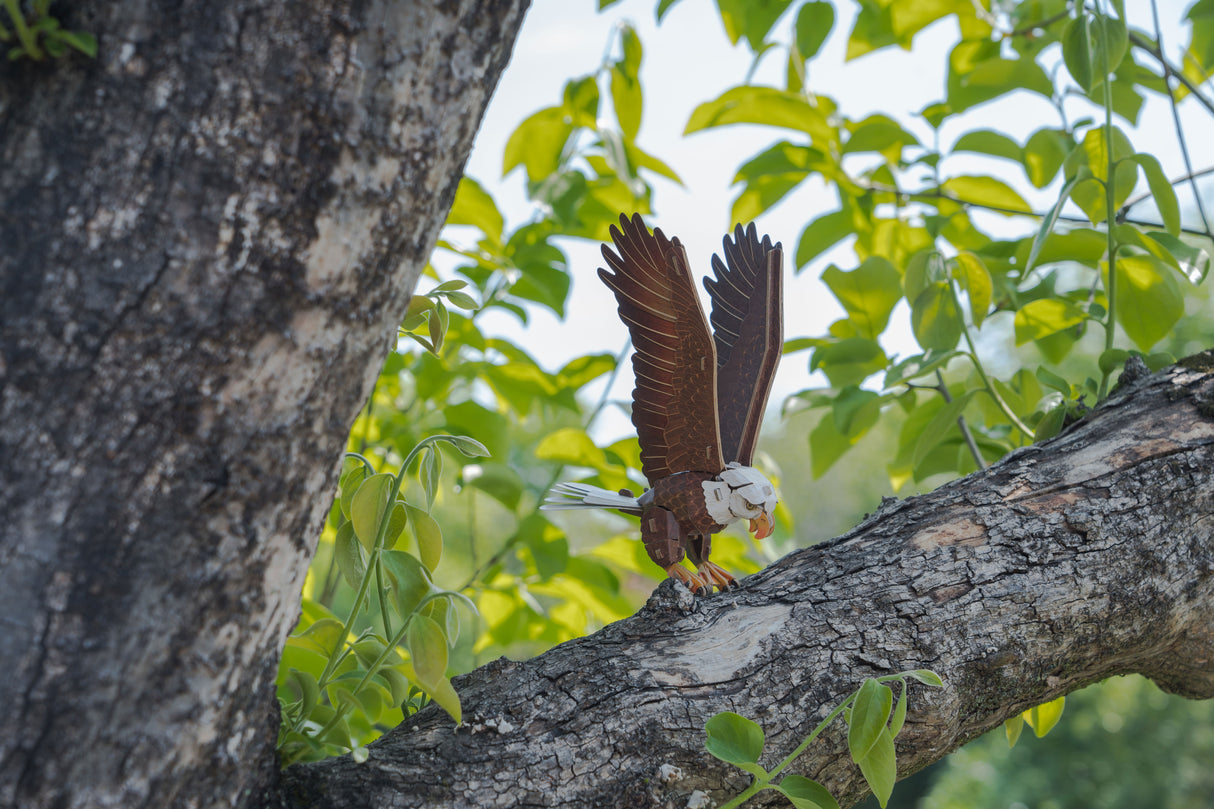 Bald Eagle 3D Bird Puzzle