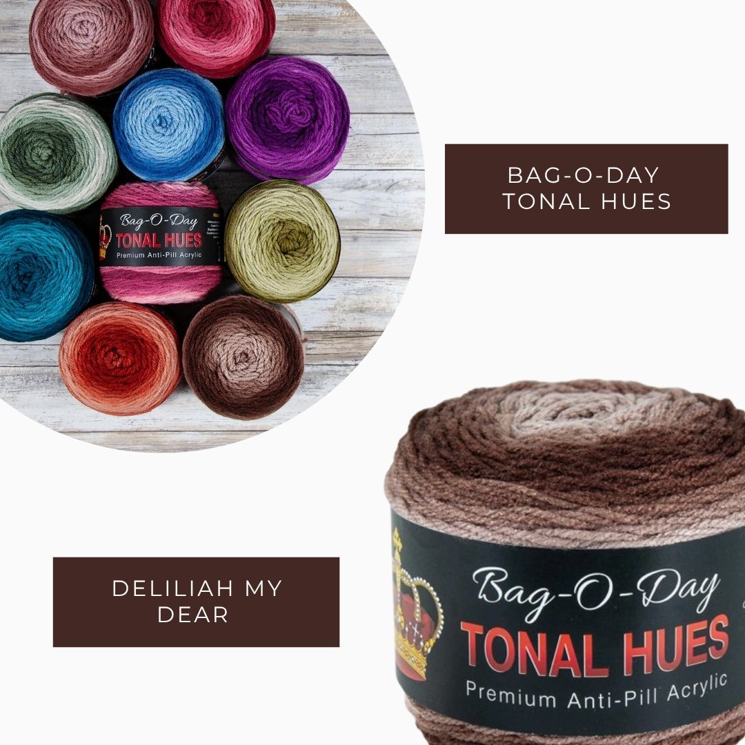Bag-O-Day Tonal Hues Yarn
