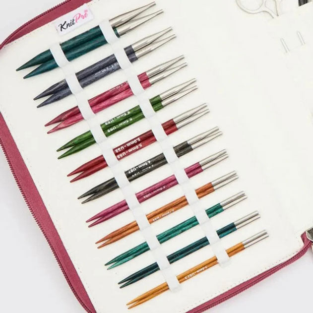 Dreamz Regal Interchangeable Needle Set