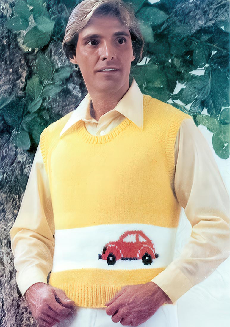 Modèle de housse de voiture