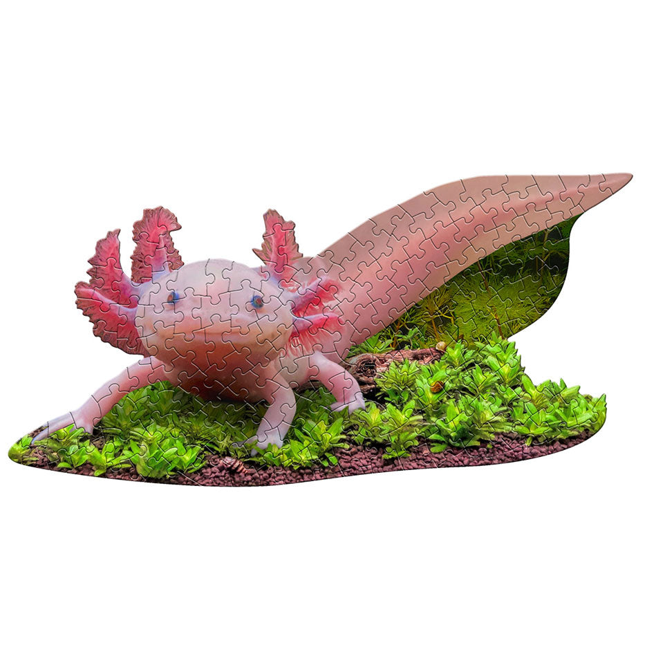 I Am Lil' Axolotl Shaped Jigsaw Puzzle