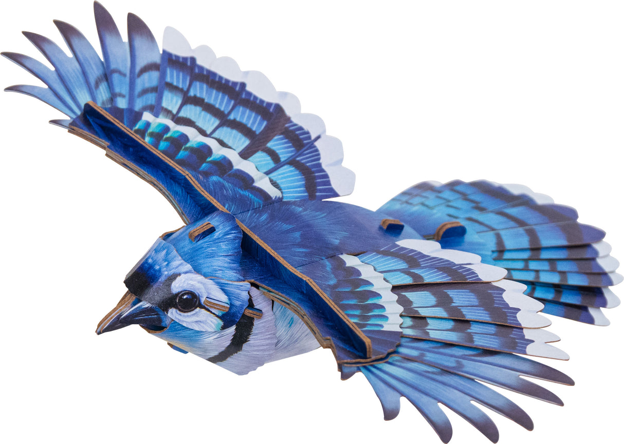 Blue Jay 3D Bird Puzzle