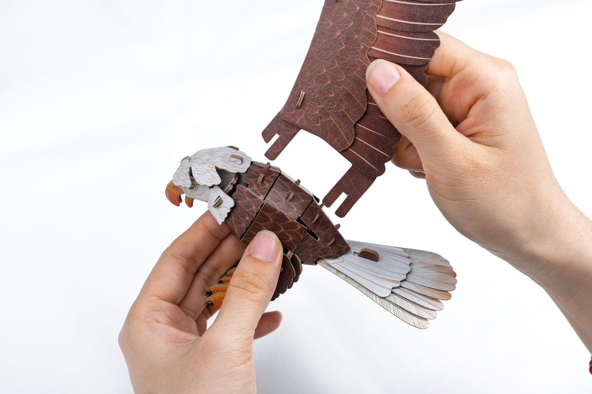 Bald Eagle 3D Bird Puzzle