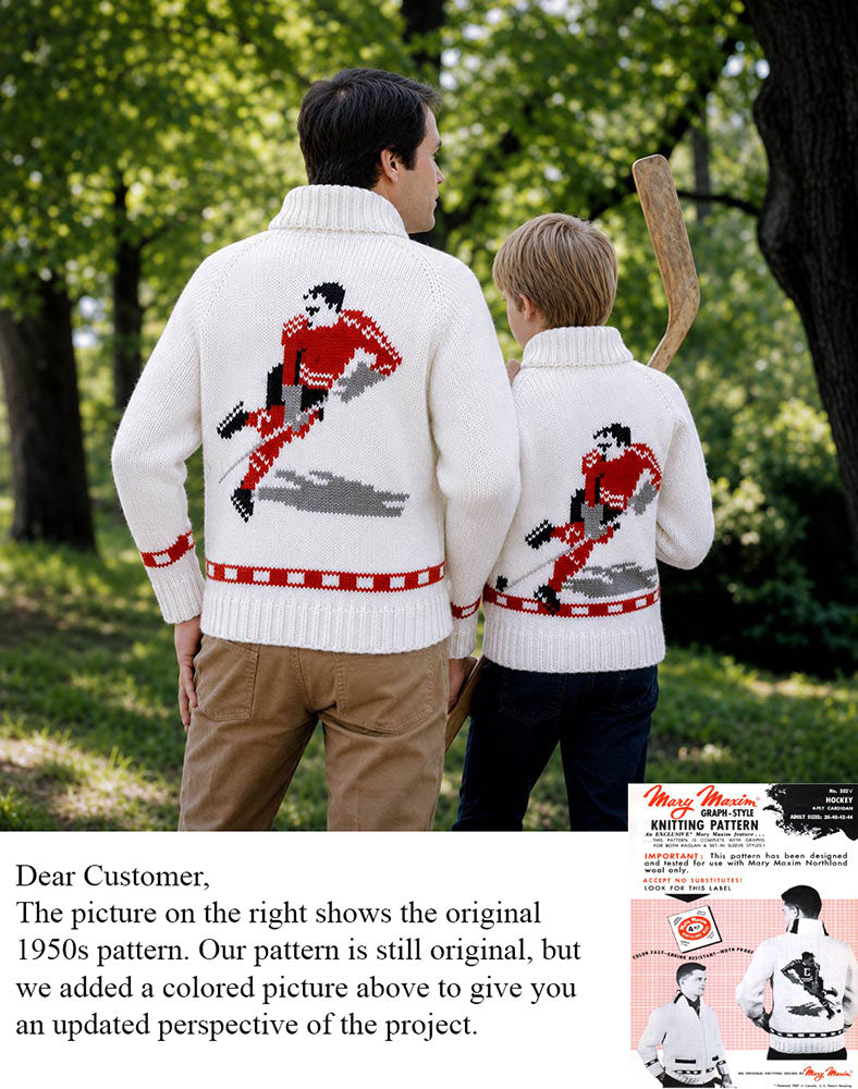 Modèle de cardigan de hockey