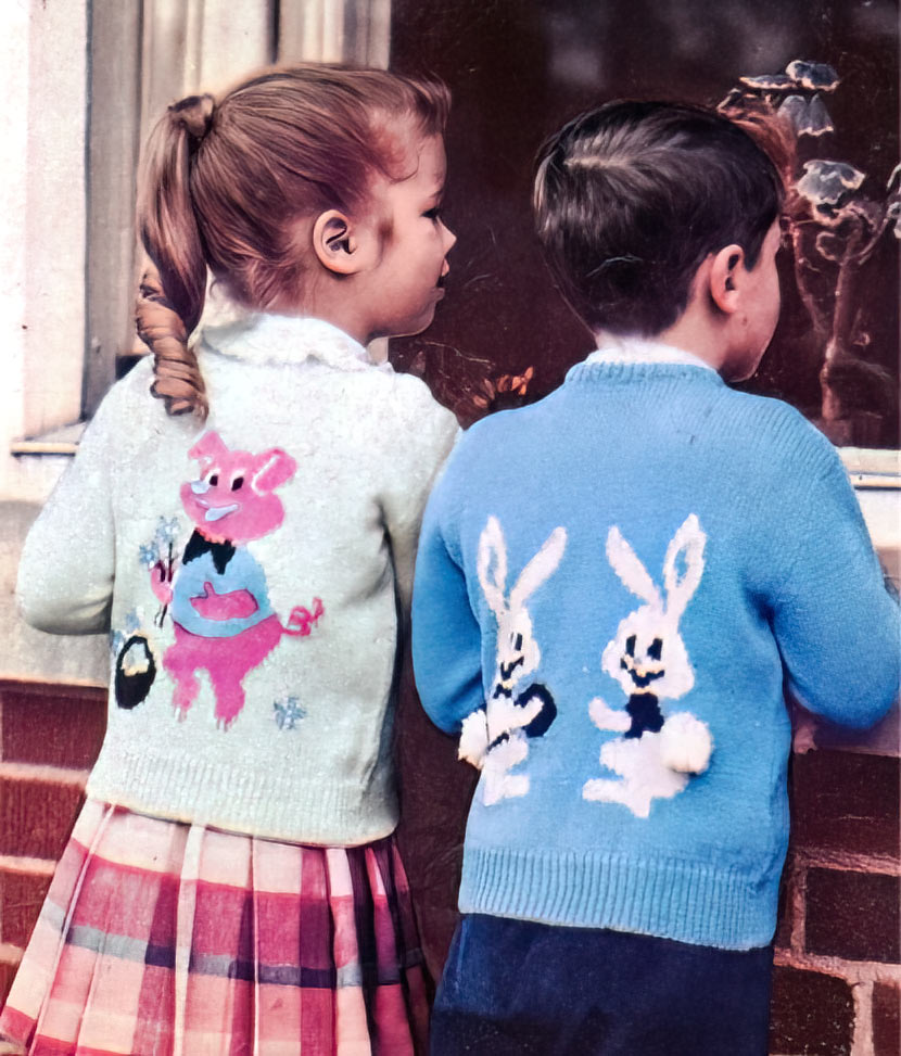 Modèle de cardigan cochon