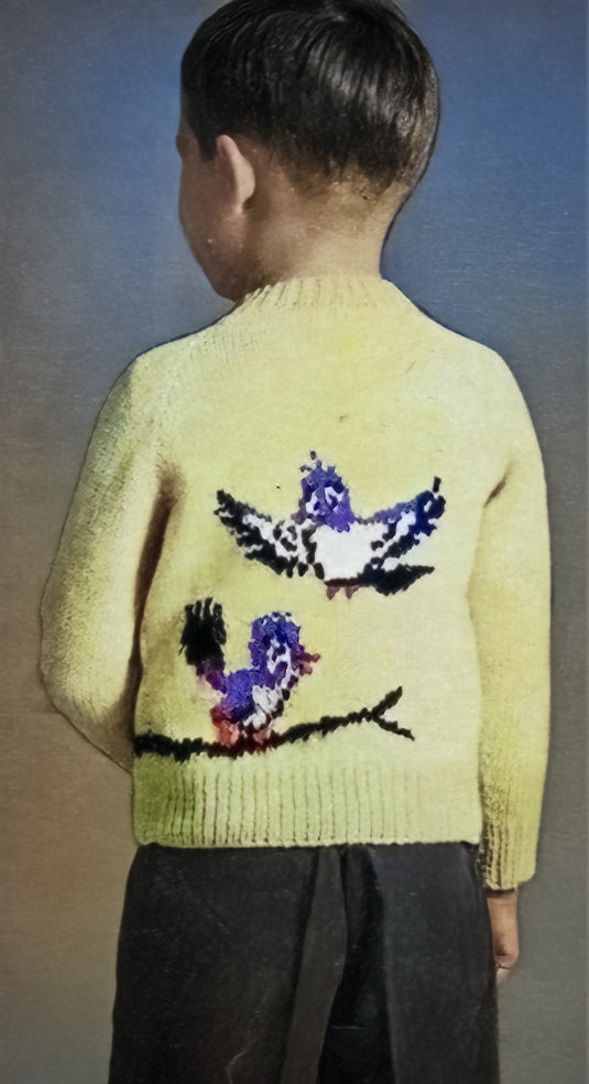 Modèle de cardigan Bluebirds