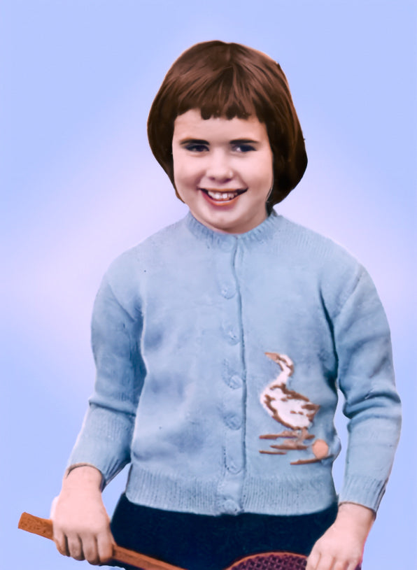 Goose & Golden Egg Cardigan Pattern