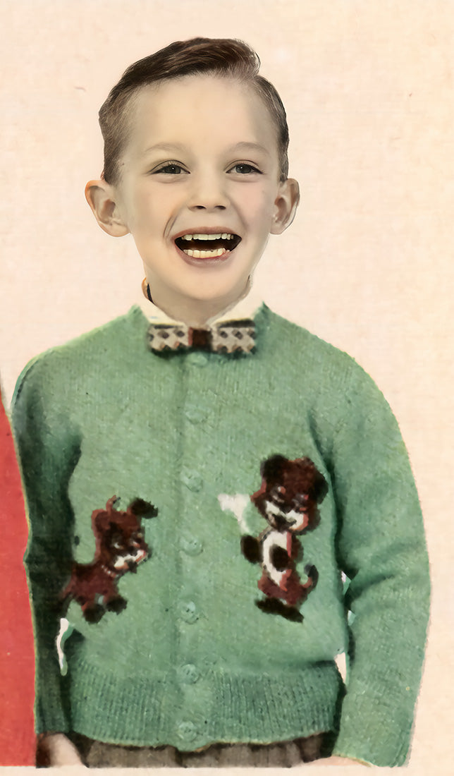 Patrón de cárdigan campechano