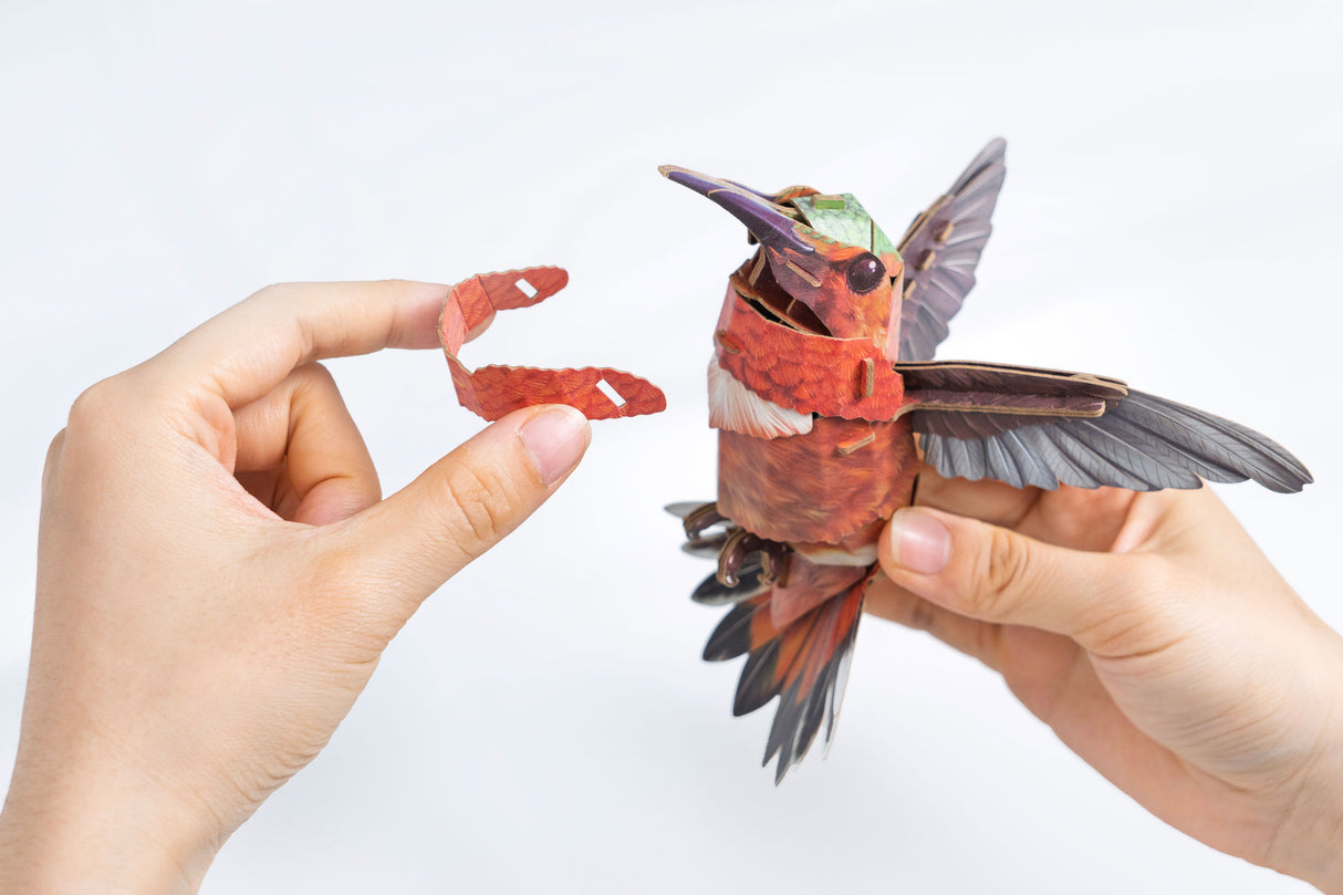 Hummingbird 3D Bird Puzzle
