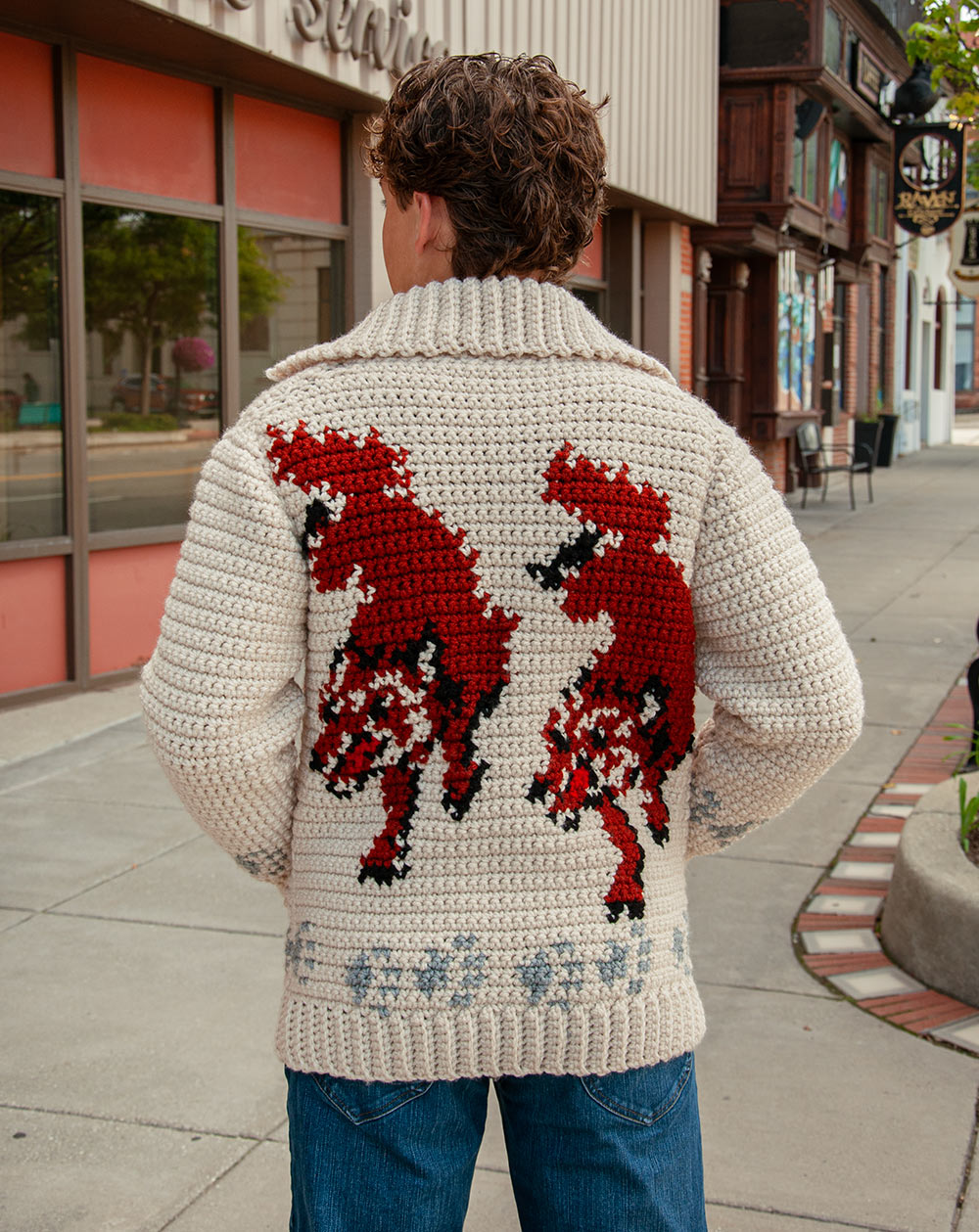 Crochet Wolf Cardigan Kit | Project Hail Mary Fox Sweater
