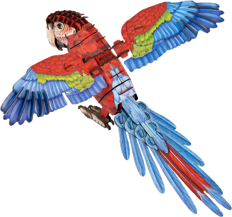 Macae 3D Bird Puzzle
