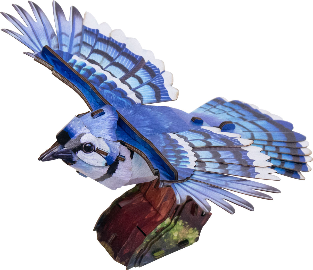Blue Jay 3D Bird Puzzle
