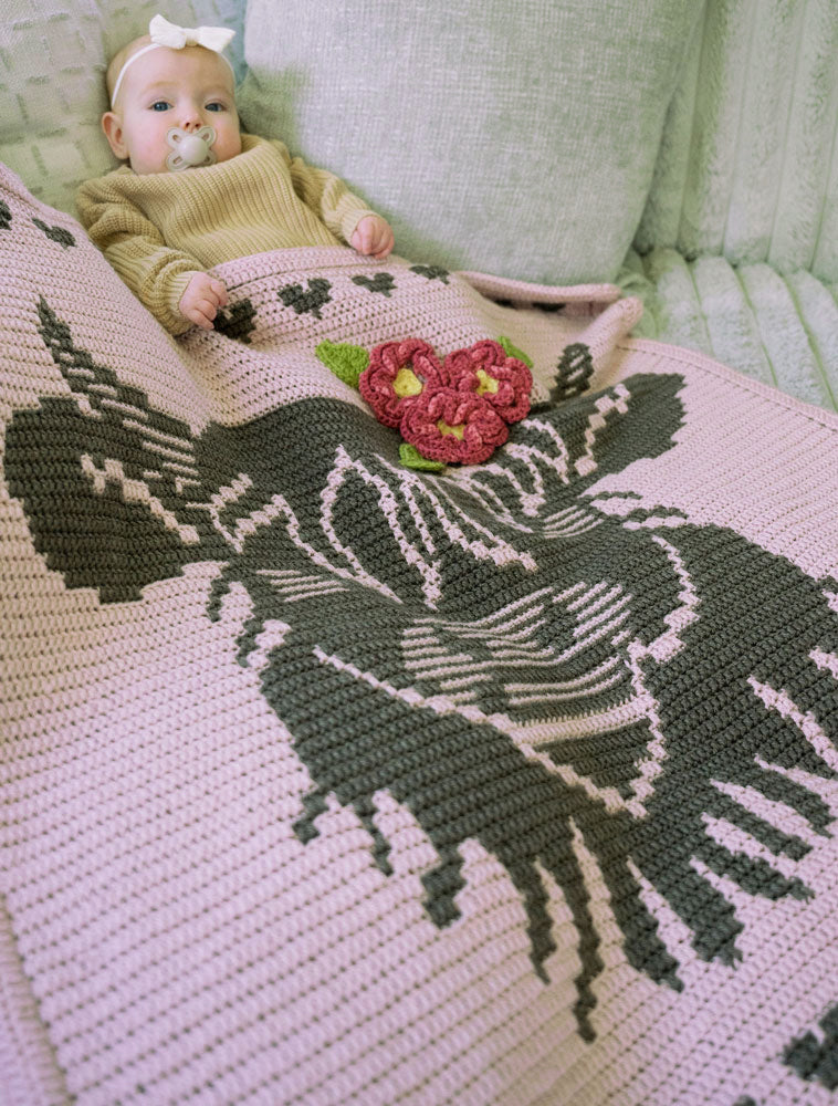 Little Highland Wonder Crochet Baby Blanket