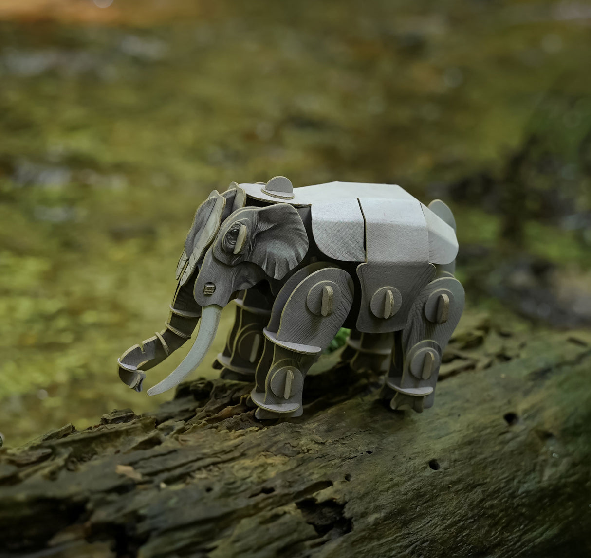 Voices of Nature - Asian Elephant