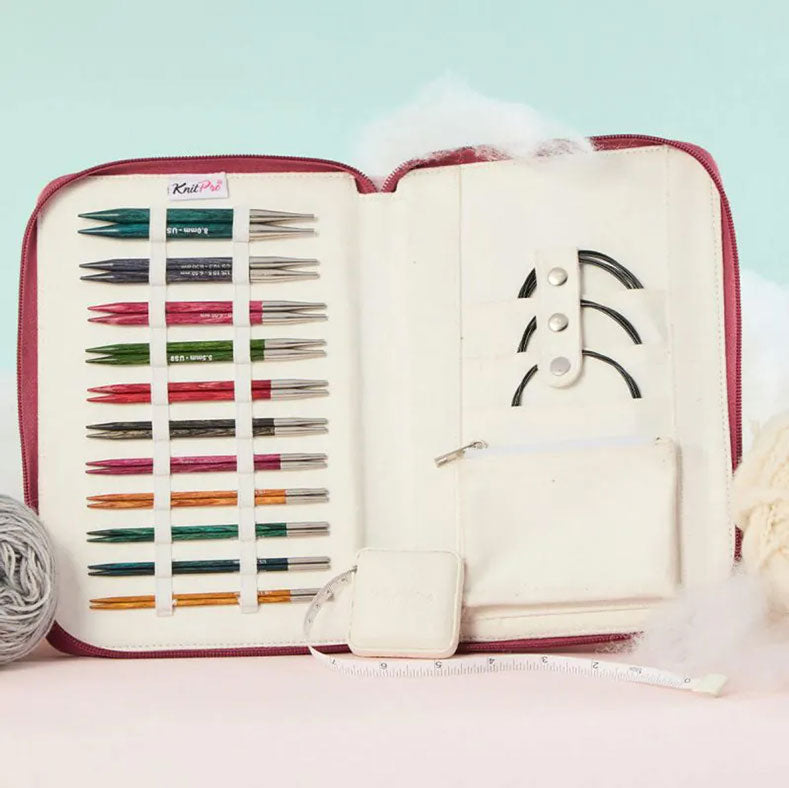 Dreamz Regal Interchangeable Needle Set