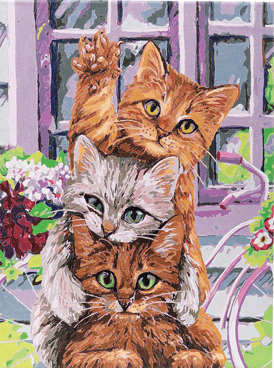 Hi Kittens Paint By Number Kit