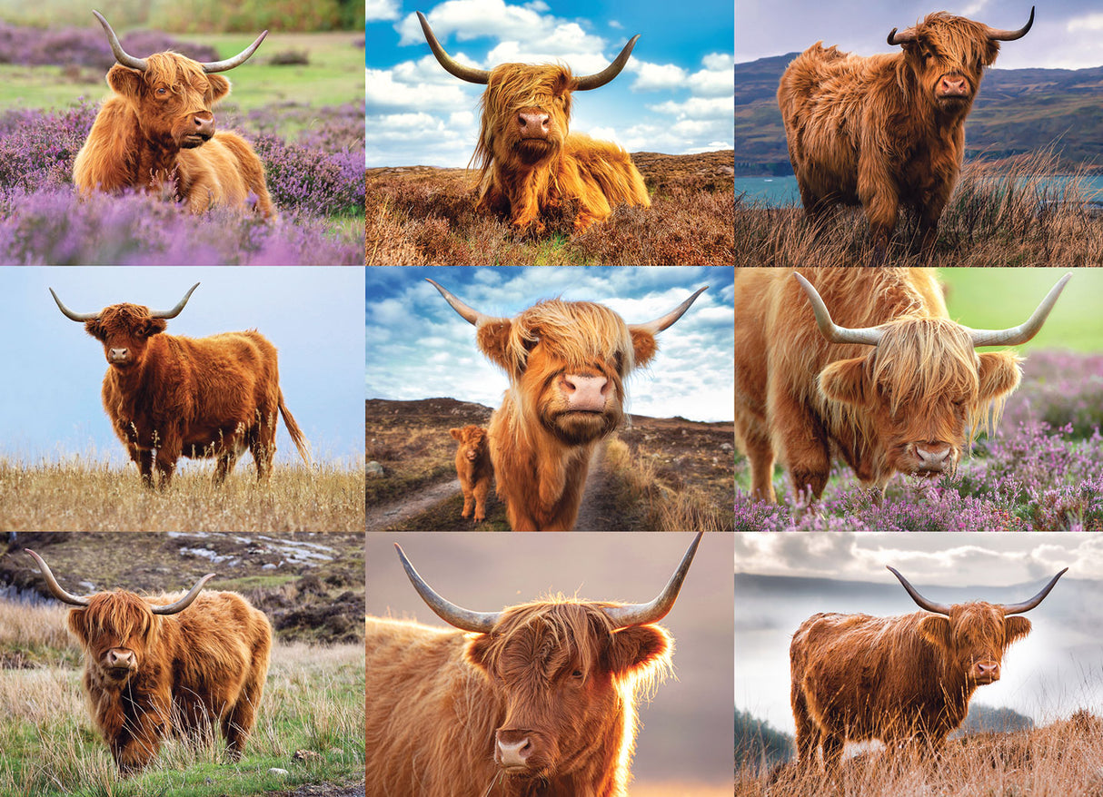 Highland Cows Jigsaw Puzzle