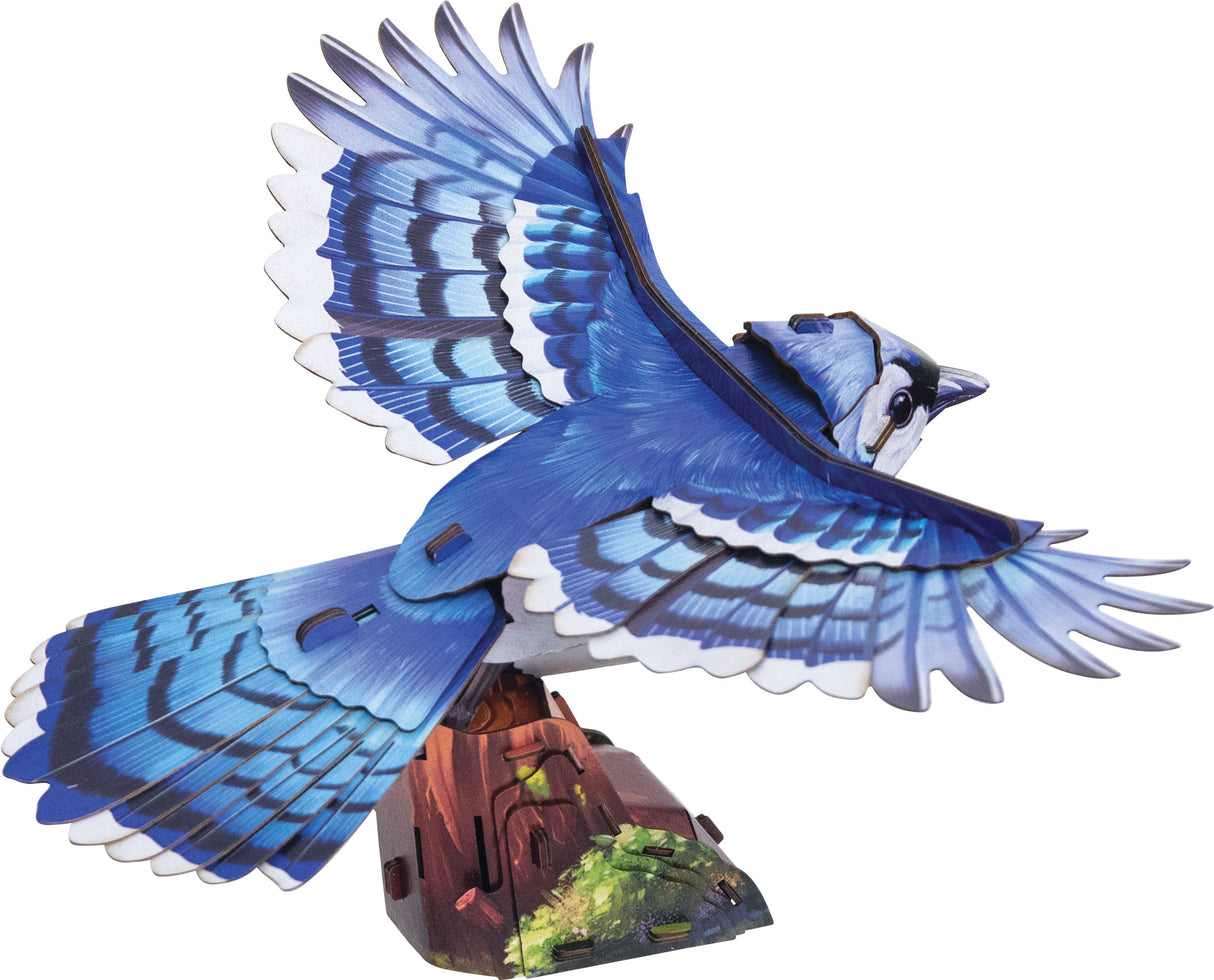 Blue Jay 3D Bird Puzzle