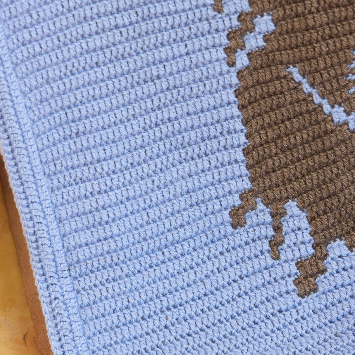 Little Highland Wonder Crochet Baby Blanket