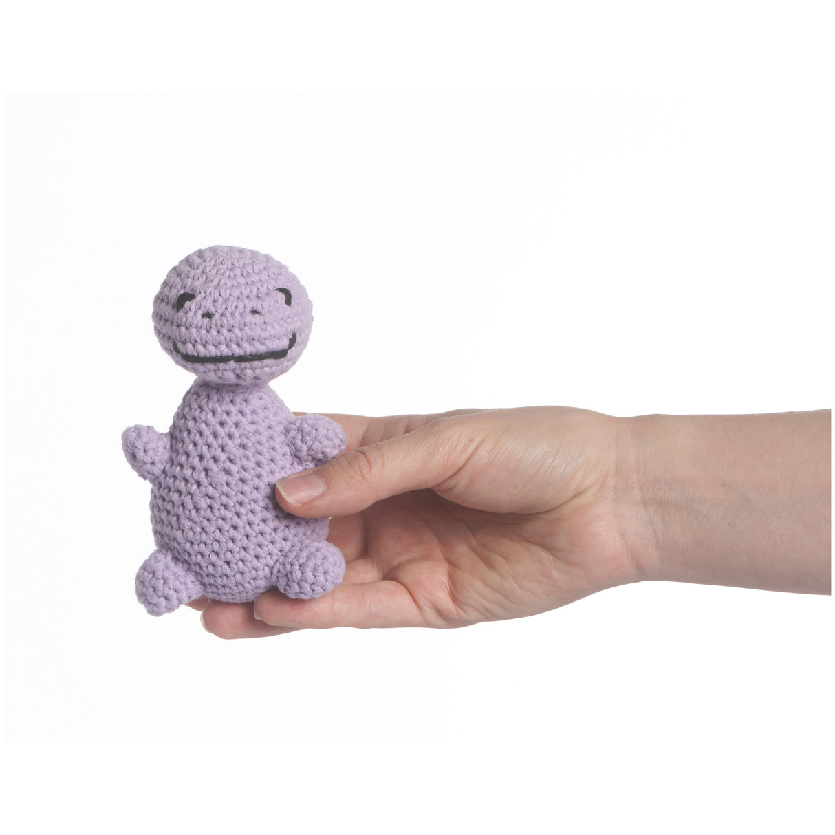Tiny the T-Rex Amigurumi Kit