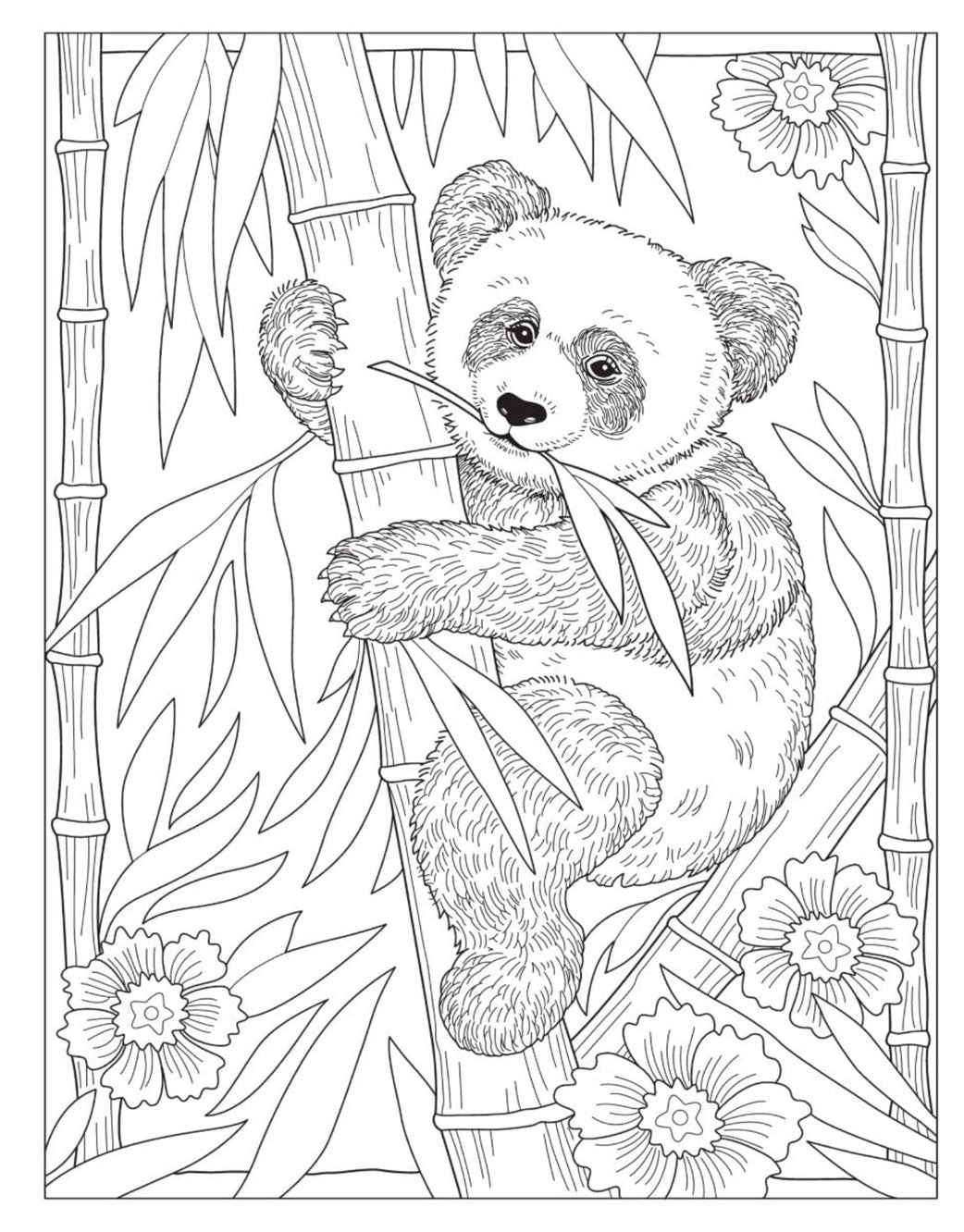 Stay Wild Coloring Book