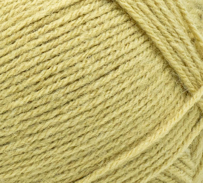 Lion Brand Pound of Love Yarn