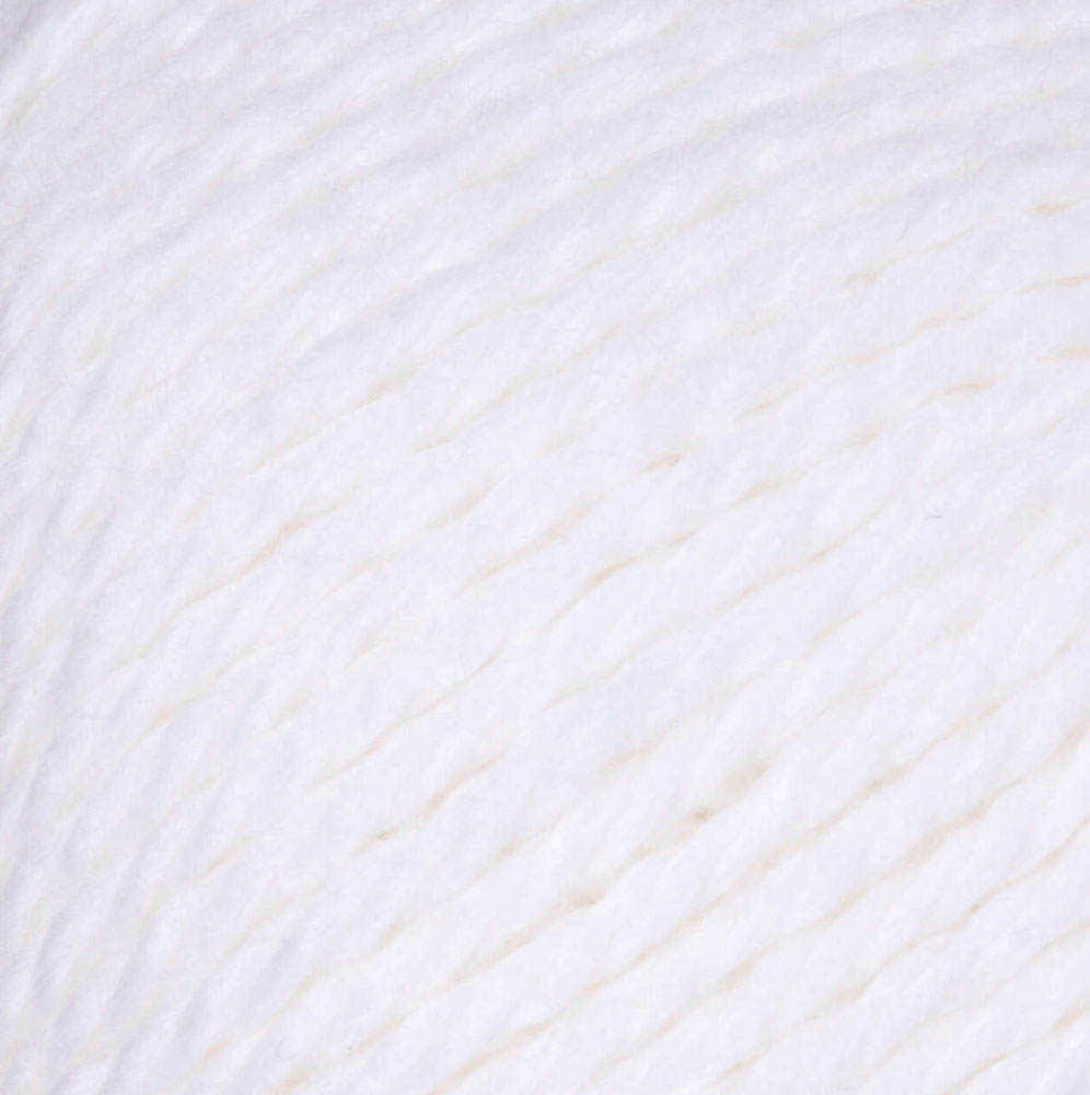 Softly Shelled Blanket