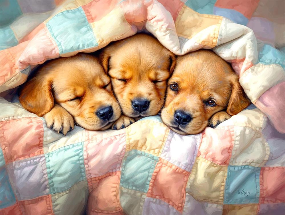 Adorable Puppies Jigsaw Puzzle
