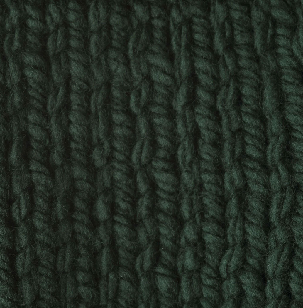 Bernat Softee Chunky Yarn