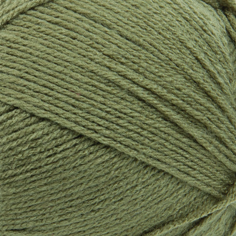 Big Twist Value Pound Plus Yarn