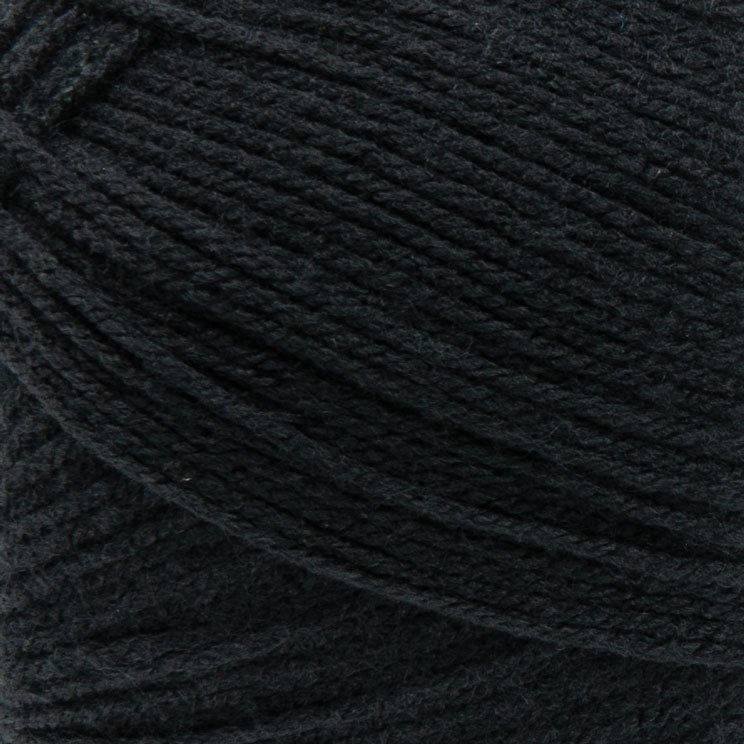 Big Twist Value Pound Plus Yarn