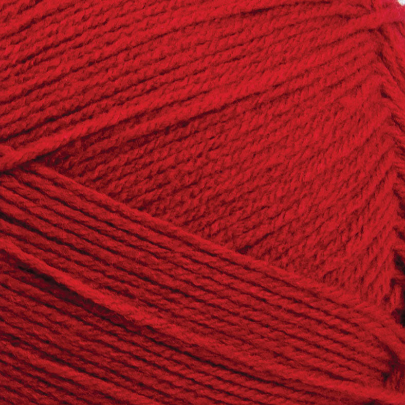 Big Twist Value Pound Plus Yarn