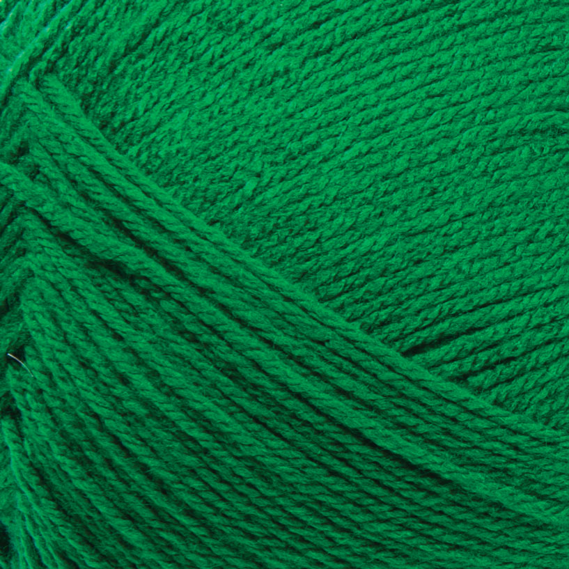 Big Twist Value Pound Plus Yarn