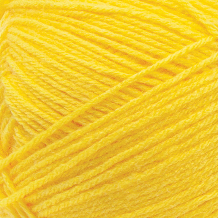 Big Twist Value Pound Plus Yarn