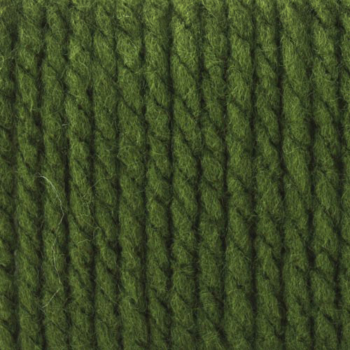 Bernat Softee Chunky Yarn