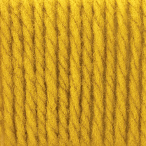 Bernat Softee Chunky Yarn