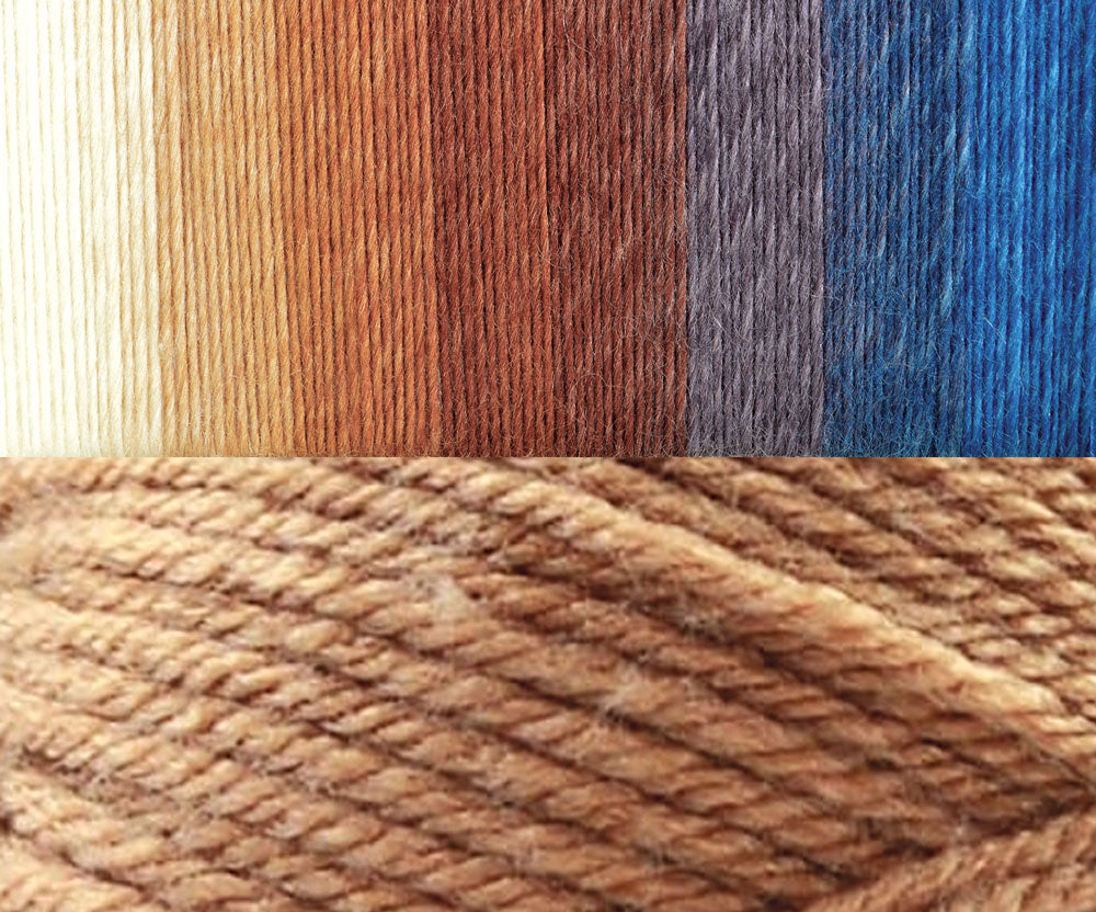 Aqua Shells Baby Afghan