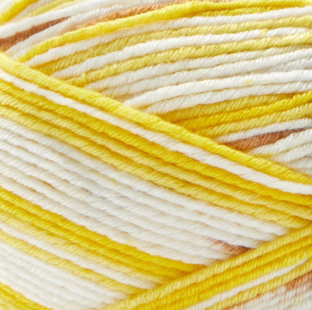 Premier Fruits Sock Yarn