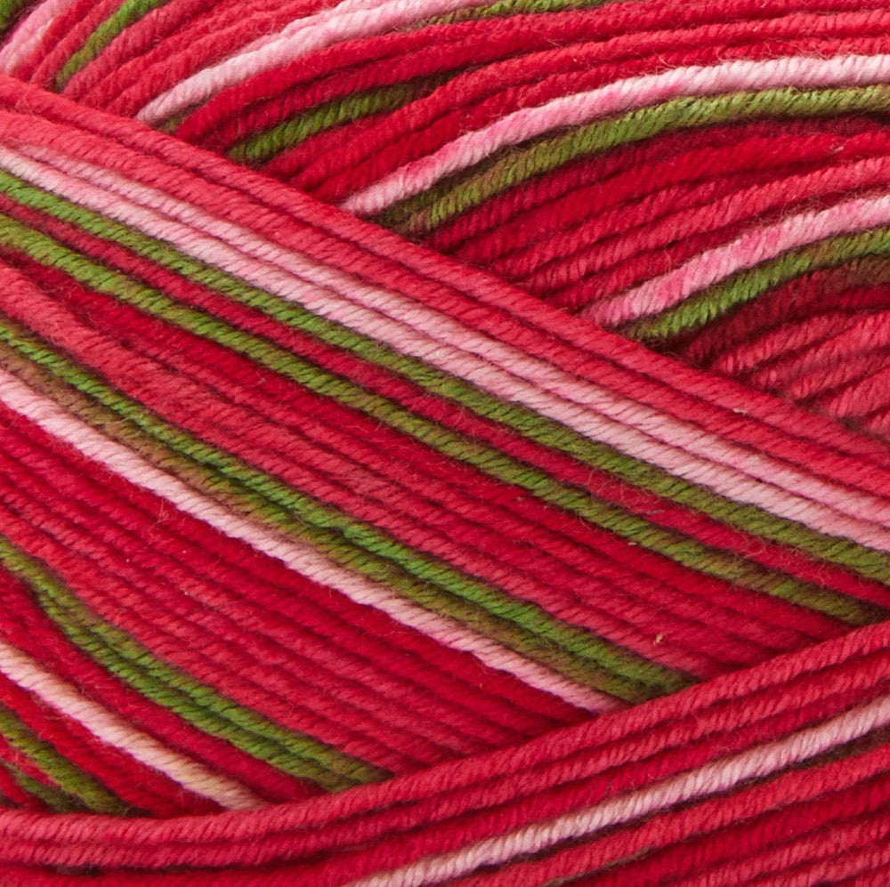 Premier Fruits Sock Yarn