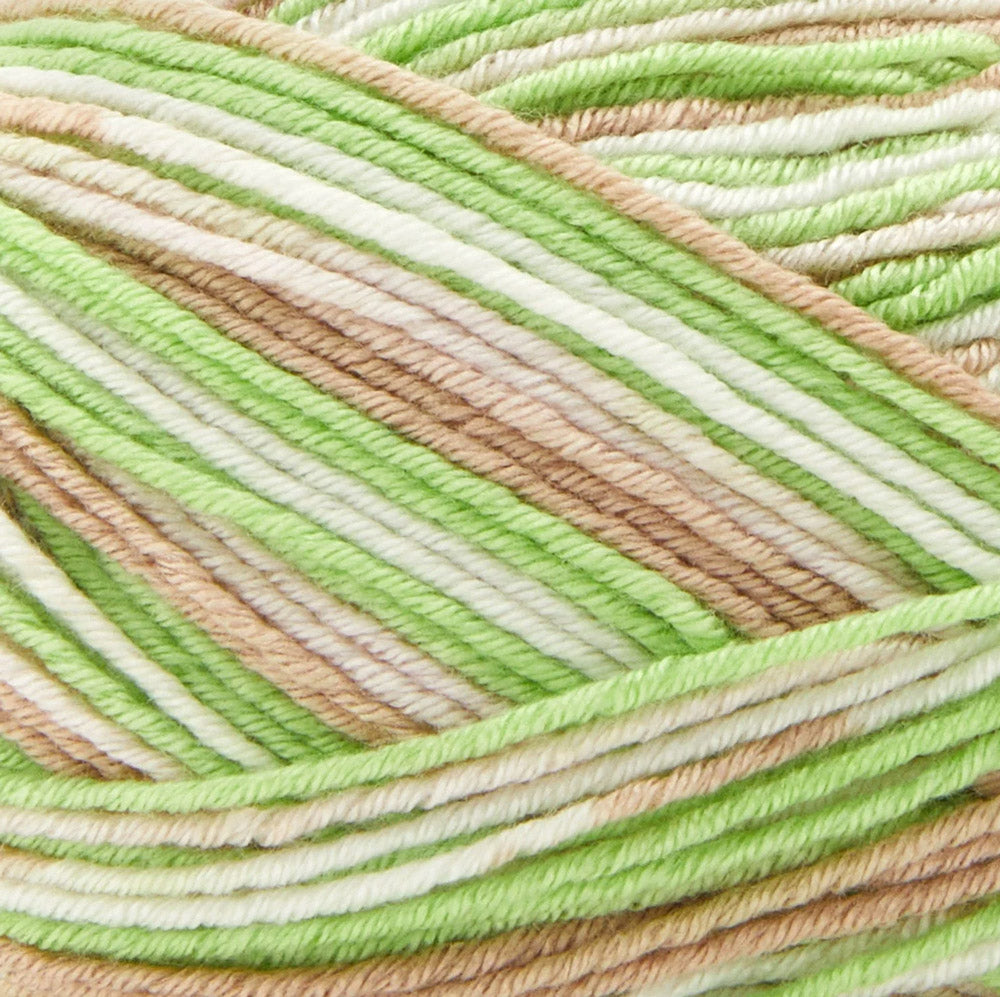 Premier Fruits Sock Yarn