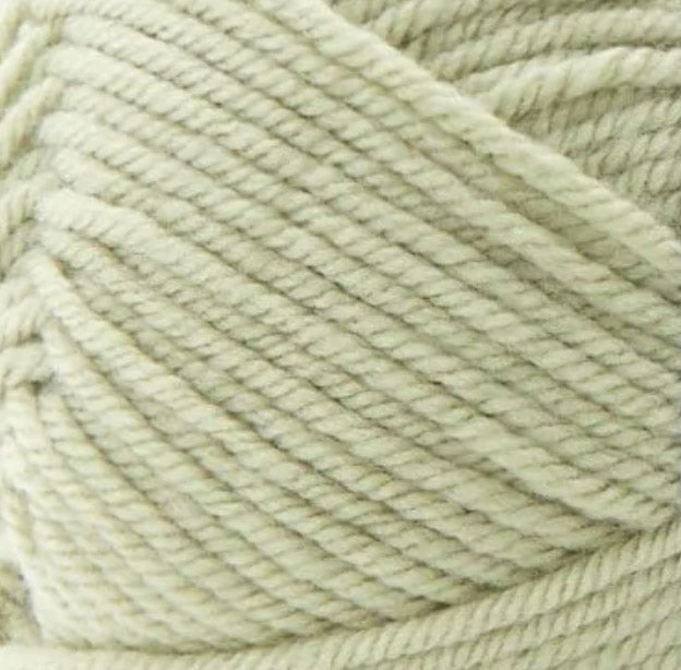 Premier Anti-Pilling Everyday Worsted Yarn